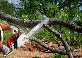 Lawn Irrigation Installation and Maintenance in Daisetta, TX